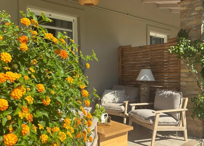 Bangallows Tartaya *